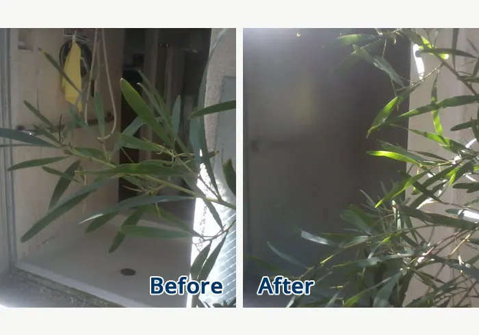 Broken Window Glass Replacement